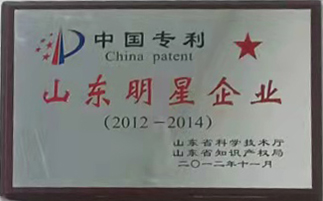 1.1中国专利山东明星企业.jpg