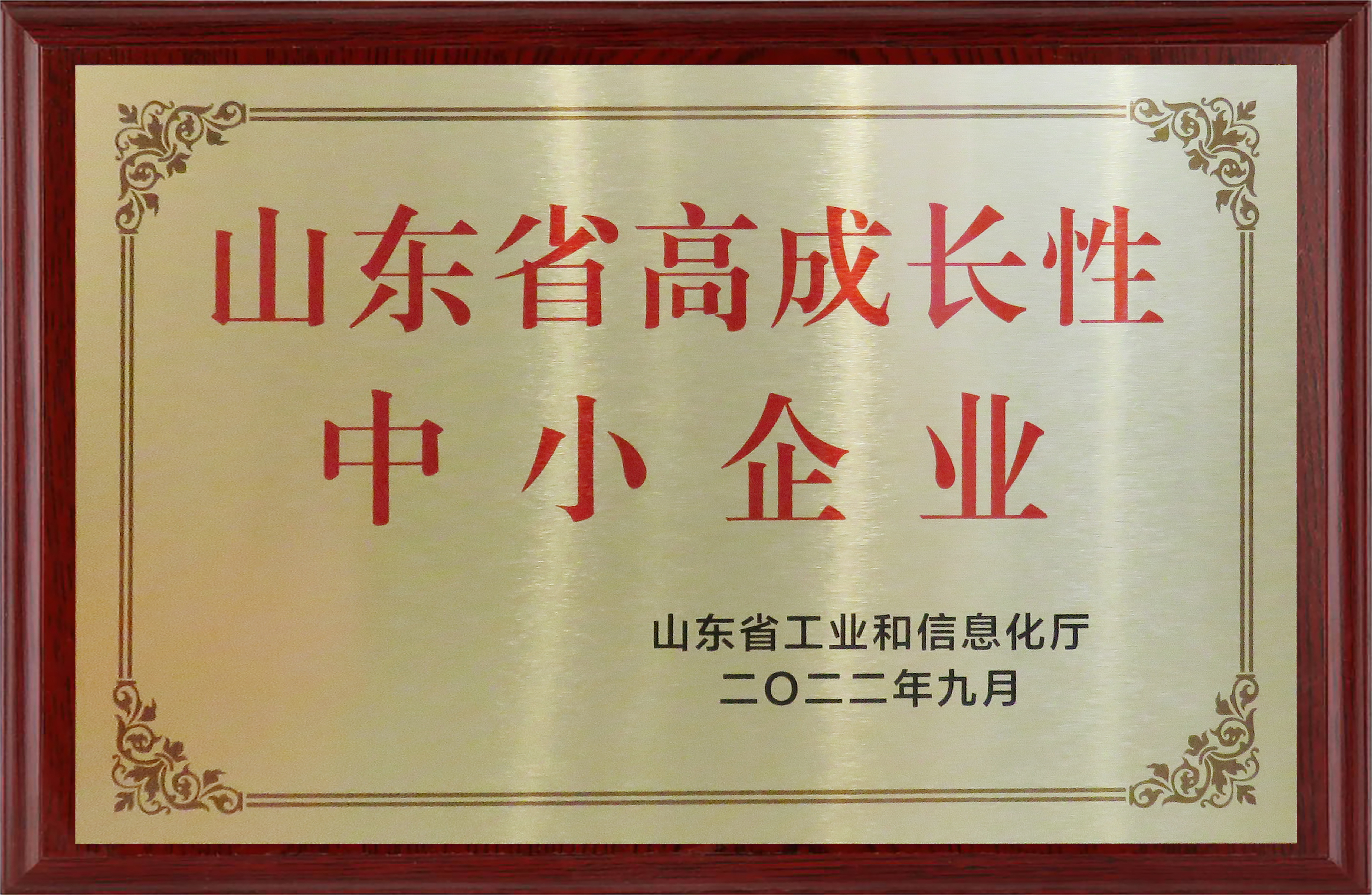 31.山东省高成长性中小企业.jpg